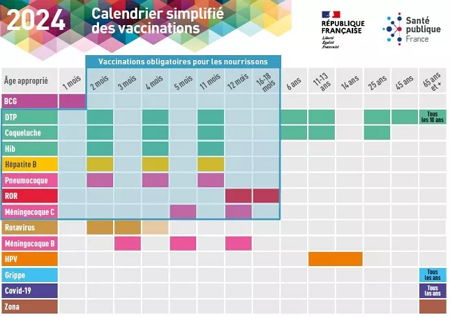 calendrier vaccinal 2024